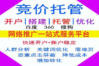 谷歌SEM案例研究：广告预算分配与优化